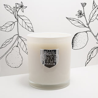 Bergamot & Mahogany Maison Candle - MAISON ANTONIUS - Candle - MAISON ANTONIUS