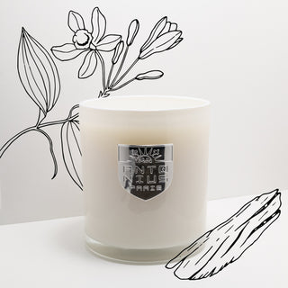 Earth & Oak Maison Candle - MAISON ANTONIUS - Candle - MAISON ANTONIUS