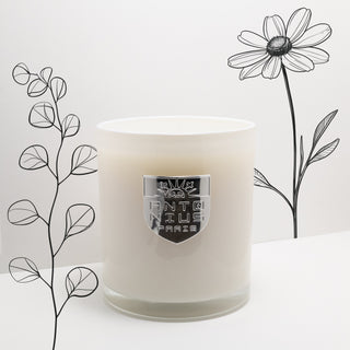 Eucalyptus & Chamomile Maison Candle - MAISON ANTONIUS - Candle - MAISON ANTONIUS