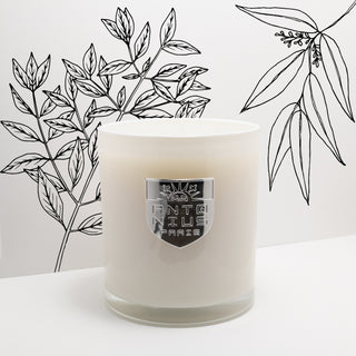 Mediterranean Sea Maison Candle - MAISON ANTONIUS - Candle - MAISON ANTONIUS