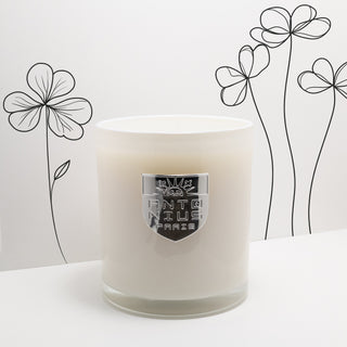 Paris Night Maison Candle - MAISON ANTONIUS - Candle - MAISON ANTONIUS