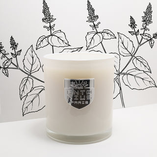 Patchouli Amber Maison Candle - MAISON ANTONIUS - Candle - MAISON ANTONIUS