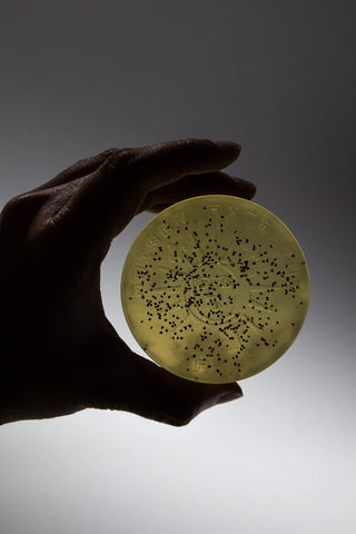 Peppermint, Hemp & Aloe Vera Soap - MAISON ANTONIUS - Soaps - MAISON ANTONIUS