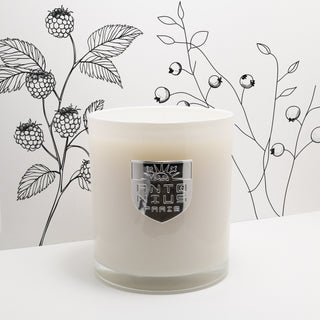 Crème Caramel Maison Candle - MAISON ANTONIUS - Candle - MAISON ANTONIUS
