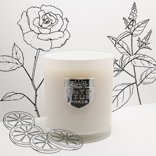 Energetic Maison Candle - MAISON ANTONIUS - Candle - MAISON ANTONIUS