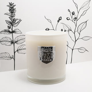 Eucalyptus & Peppermint Maison Candle - MAISON ANTONIUS - Candle - MAISON ANTONIUS