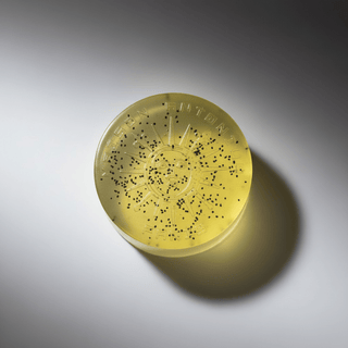 HEMP + ALOE VERA SOAP - Maison Antonius® - Maison Antonius®