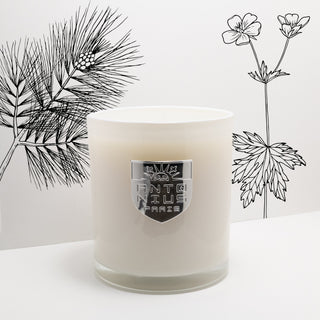 Mahogany Teakwood Maison Candle - MAISON ANTONIUS - Candle - MAISON ANTONIUS