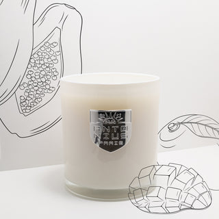 Mango Papaya Maison Candle - MAISON ANTONIUS - Candle - MAISON ANTONIUS