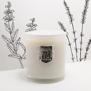 Moss & Amber Maison Candle - MAISON ANTONIUS - Candle - MAISON ANTONIUS