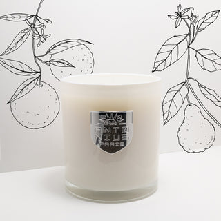 Orange & Bergamot Maison Candle - MAISON ANTONIUS - Candle - MAISON ANTONIUS