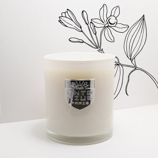 Pure Vanilla Maison Candle - MAISON ANTONIUS - Candle - MAISON ANTONIUS