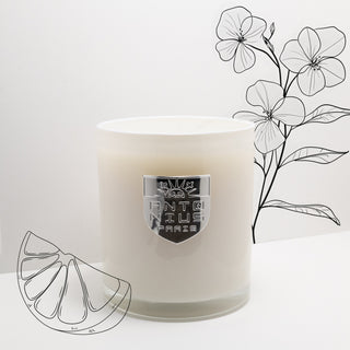 Relaxation Maison Candle - MAISON ANTONIUS - Candle - MAISON ANTONIUS