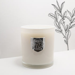 Saffron & Tobacco Maison Candle - MAISON ANTONIUS - Candle - MAISON ANTONIUS