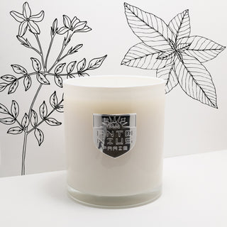 Stress Relief Maison Candle - MAISON ANTONIUS - Candle - MAISON ANTONIUS