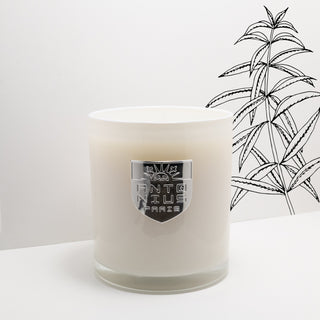 Tobacco & Teakwood Maison Candle - MAISON ANTONIUS - Candle - MAISON ANTONIUS