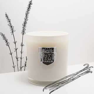 Vanilla Lavender Maison Candle - MAISON ANTONIUS - Candle - MAISON ANTONIUS
