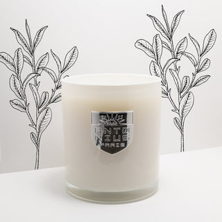 White Tea Maison Candle - MAISON ANTONIUS - Candle - MAISON ANTONIUS